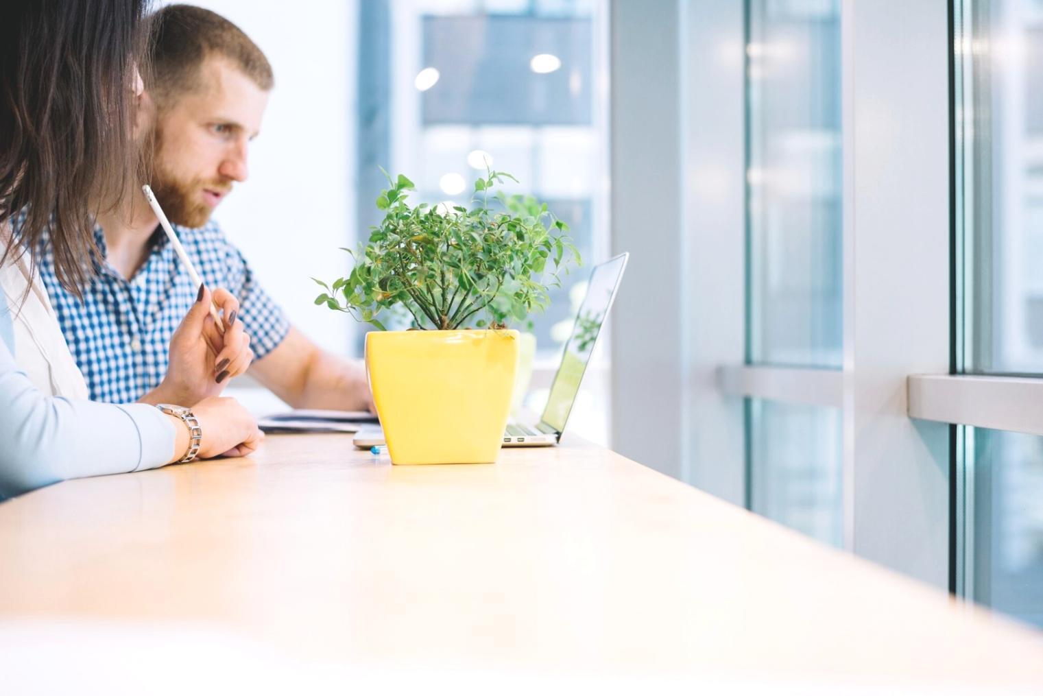 Techniques budgétaires appliquées au quotidien